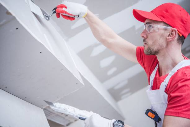 Best Ceiling Drywall Installation  in Live Oak, FL